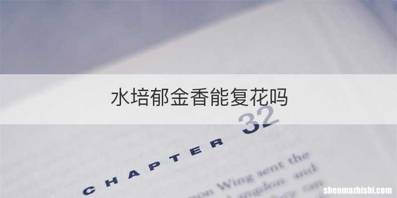 水培郁金香能复花吗