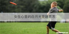 女生心里的白月光是啥意思