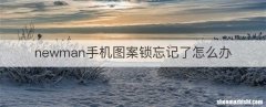 newman手机图案锁忘记了怎么办