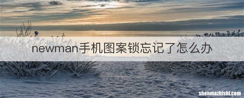 newman手机图案锁忘记了怎么办