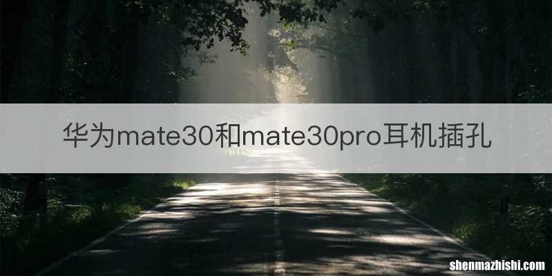 华为mate30和mate30pro耳机插孔