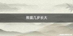 熊猫几岁长大