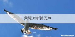 荣耀30听筒无声