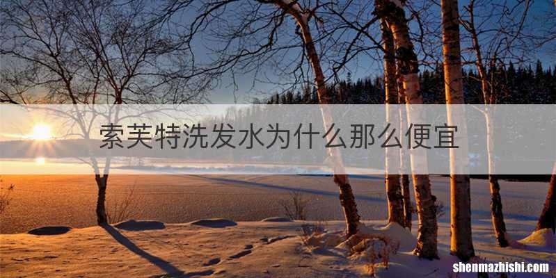 索芙特洗发水为什么那么便宜