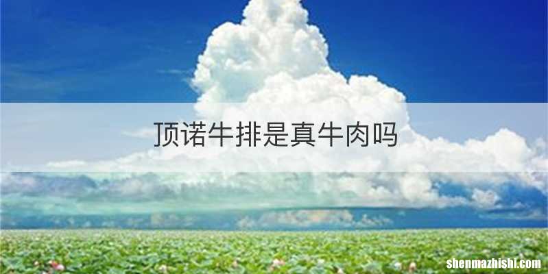 顶诺牛排是真牛肉吗