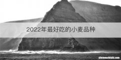 2022年最好吃的小麦品种