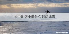 关中地区小麦什么时间返青