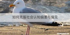 如何克服社会认知偏差与偏见