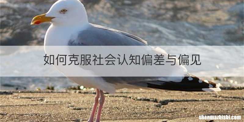 如何克服社会认知偏差与偏见