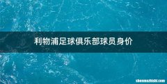 利物浦足球俱乐部球员身价