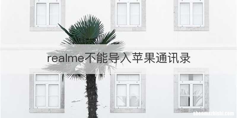 realme不能导入苹果通讯录