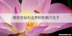 南非在钻石业界的影响力在于