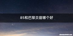 85和巴黎贝甜哪个好