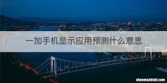 一加手机显示应用预测什么意思