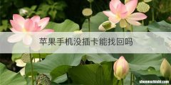 苹果手机没插卡能找回吗