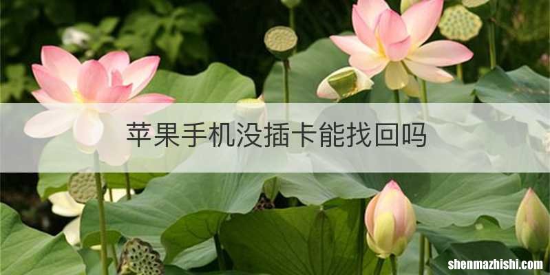 苹果手机没插卡能找回吗