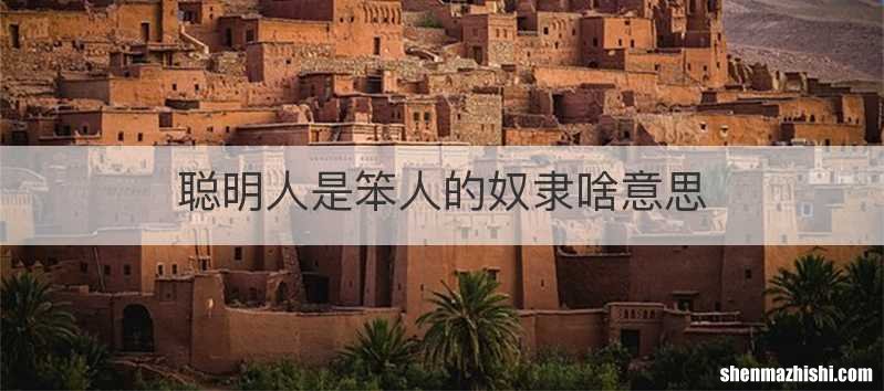 聪明人是笨人的奴隶啥意思