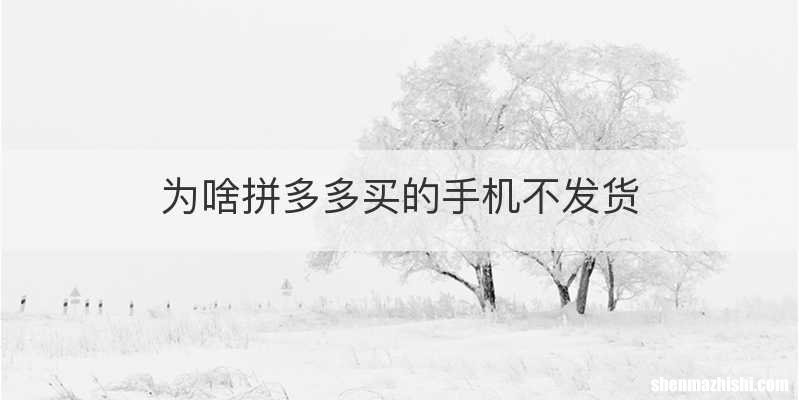 为啥拼多多买的手机不发货