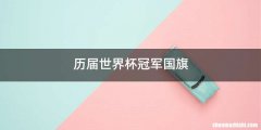 历届世界杯冠军国旗