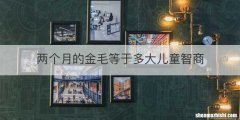 两个月的金毛等于多大儿童智商