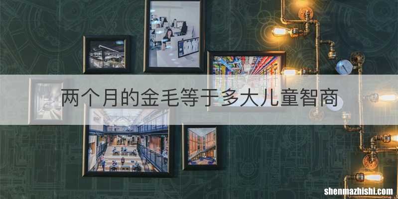 两个月的金毛等于多大儿童智商