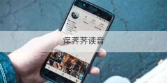 痒荠荠读音