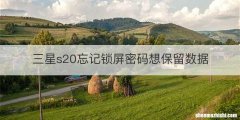 三星s20忘记锁屏密码想保留数据