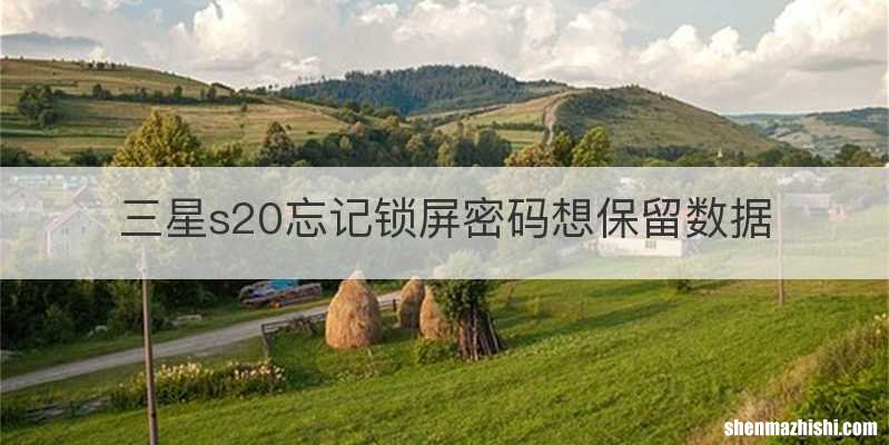 三星s20忘记锁屏密码想保留数据