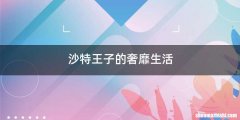 沙特王子的奢靡生活