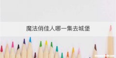 魔法俏佳人哪一集去城堡