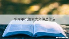 华为手机管家大文件是什么