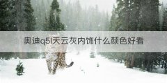 奥迪q5l天云灰内饰什么颜色好看