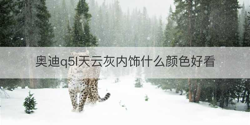 奥迪q5l天云灰内饰什么颜色好看
