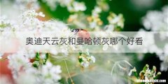 奥迪天云灰和曼哈顿灰哪个好看