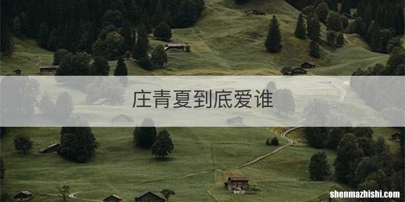 庄青夏到底爱谁