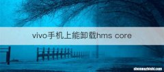 vivo手机上能卸载hms core