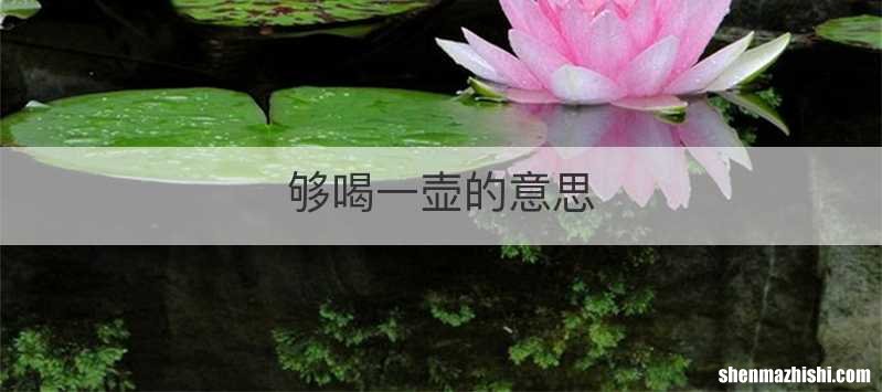 够喝一壶的意思