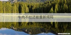 牛肉不烂还能重新炖吗