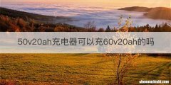50v20ah充电器可以充60v20ah的吗