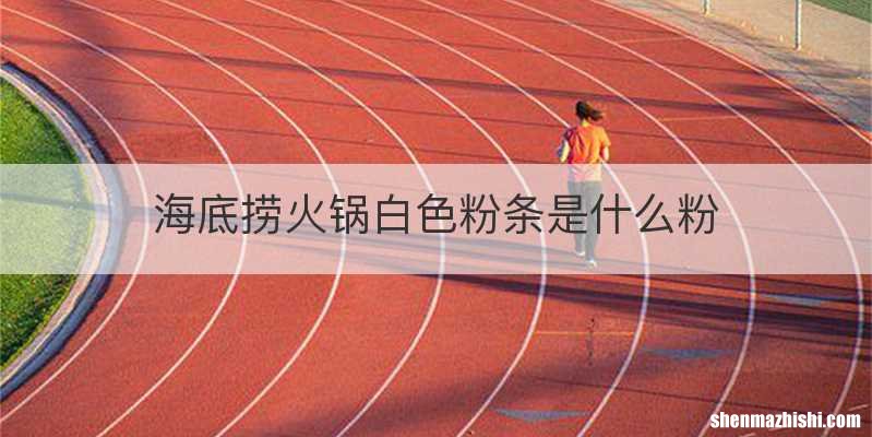海底捞火锅白色粉条是什么粉