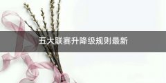 五大联赛升降级规则最新