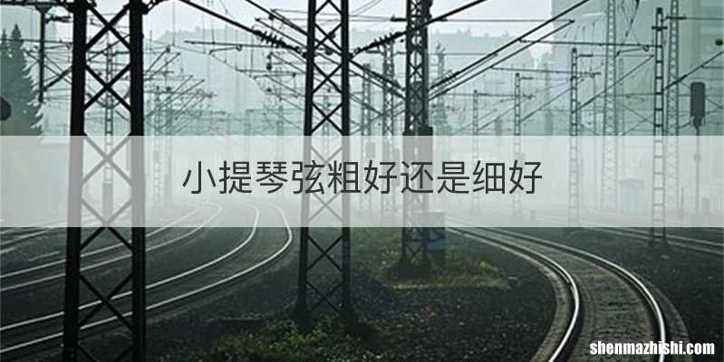 小提琴弦粗好还是细好