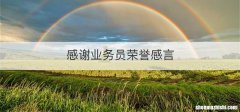 感谢业务员荣誉感言