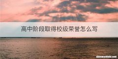 高中阶段取得校级荣誉怎么写