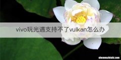 vivo玩光遇支持不了vulkan怎么办