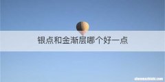 银点和金渐层哪个好一点