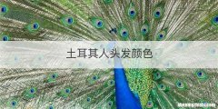 土耳其人头发颜色