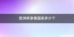 欧洲杯参赛国家多少个