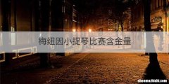 梅纽因小提琴比赛含金量