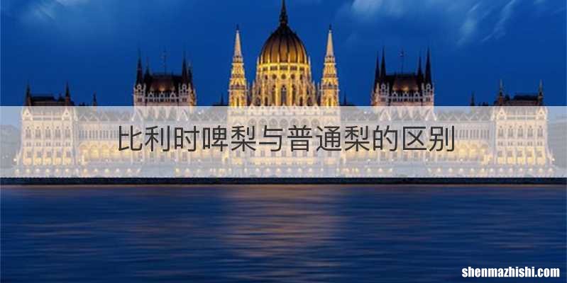 比利时啤梨与普通梨的区别